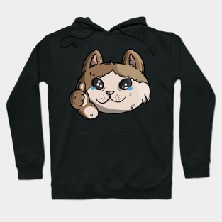 All is ok Gato Meme Hoodie